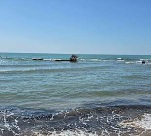 Bei den Dünen hinten