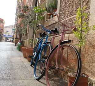 Sportlich durch die Gassen von Novigrad