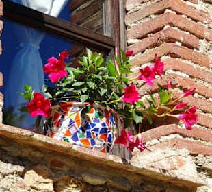 Impressionen aus Castelnou