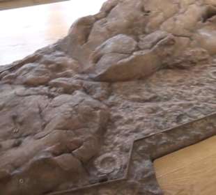 Ausstellung Sittikus