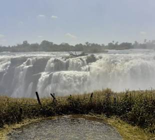 Die Victoriaföälle von einem Aussichtspunkt aus 