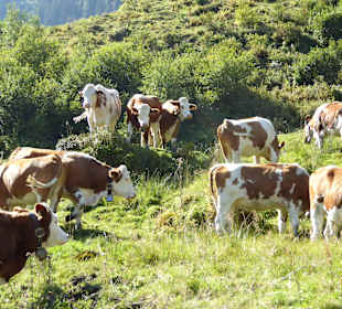 Wanderung an der Langer-Grund-Ache