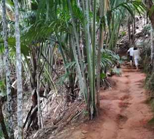 Einer der Wege durch den Nationalpark