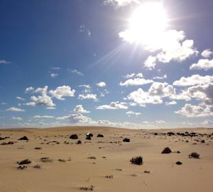 Impressionen aus der Dünenlandschaft