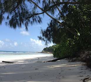 Anse Severe, Blick nach rechts