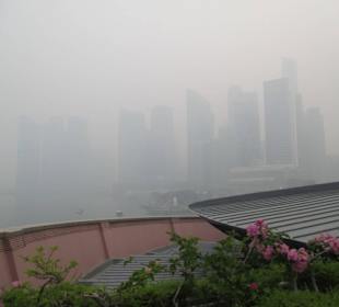 Singapur gdy w Indonezji palą lasy