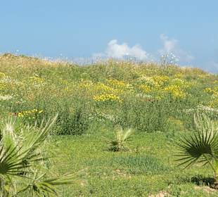 Natur neben dem Hotel
