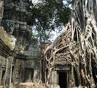 Ta Prohm