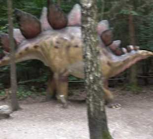 Dinosaurier Museum Altmühltal