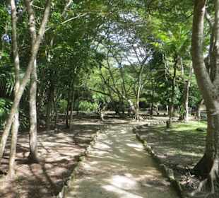 Ausflug mit Daniel zu den Maya Ruinen in Muyil