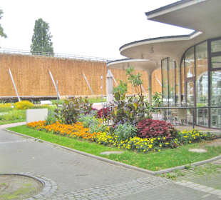 Blick aufs Gradierwerk ab dem Salinen Café