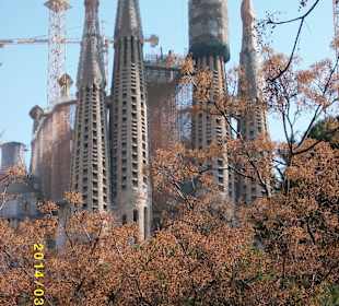 Sagrada Familia vom Park