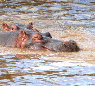 Das Kleine riskiert noch mal ein Auge