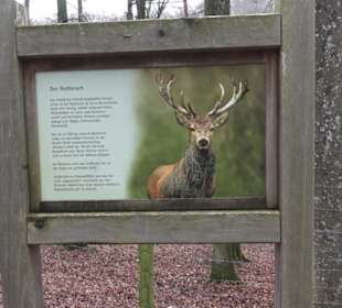 Wildpark Eichert