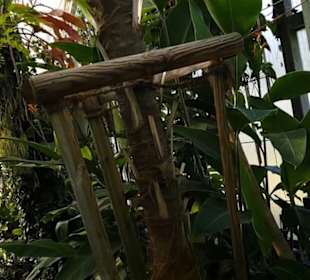Botanischer Garten 