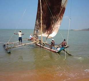Katamaran Garnelenfischer mit Harald