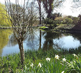 Frühling im Westfalenpark Dortmund