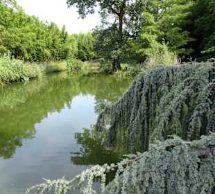 Am Teich im Jardin des Plantes