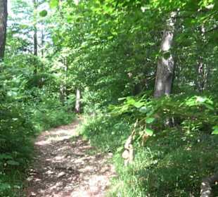 Premiumwanderweg "hochgelegen"