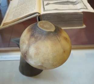 Walauge im Noordelijk Scheepvaartmuseum