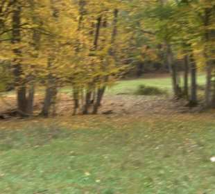 Schaukel auf den Knaupwiesen