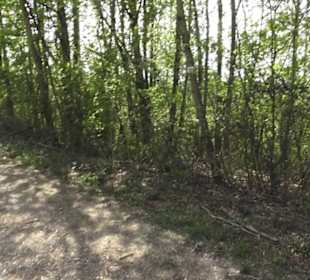 Wanderweg Firstwaldrunde