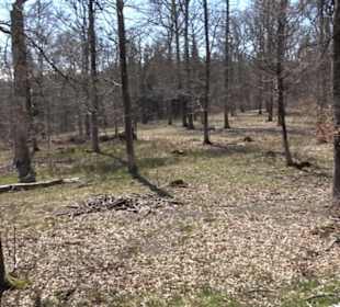 Waldkulturerbe Neuweiler Viehweide