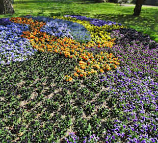 Impressionen vom Rundgang durch den Kurpark