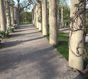 Rosengarten Stuttgart