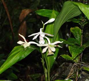 Ausflug Wildfife Expeditions