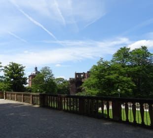 Schlossgarten