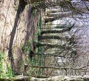 Schloßgarten hinterer Bereich