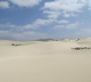 Wüste auf Boa Vista