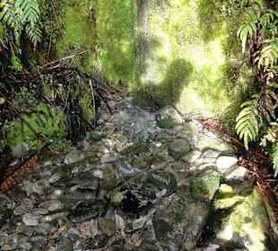 Osobliwości przydrożne