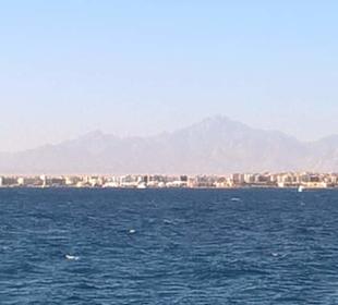 Hurghada tauchen mit den Delfphinen