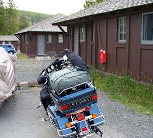 Old Faithful Lodge Cabins