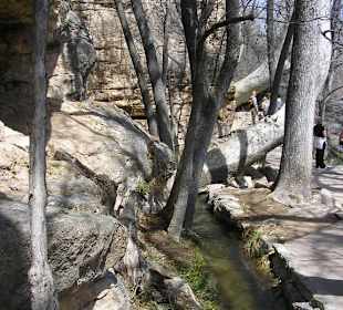 Montezuma Well
