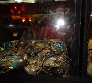 Meeresfrüchte in der Auslage der Restaurants
