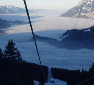 Zurück in den Nebel