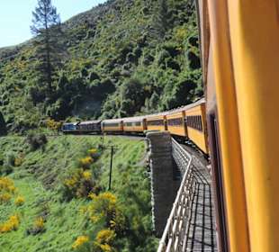 Mit der Taieri Railway durch die Natur Neuselands