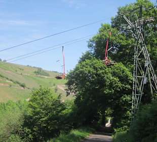 Impressionen Kräuterweg in Assmannshausen