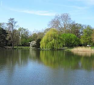 Spaziergang durch den Maschpark