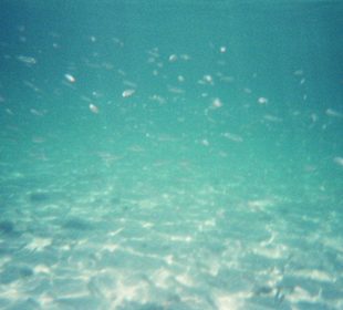 Unterwasserbild in Formentor