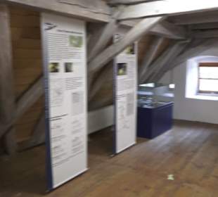 Wimsener Mühle