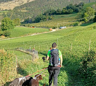 Wandern Sluderno / Schluderns