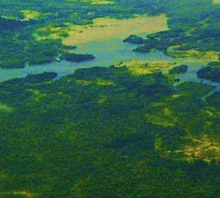 Luftbilder Amazonas