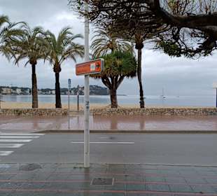 Strand Santa Ponsa/Ponça