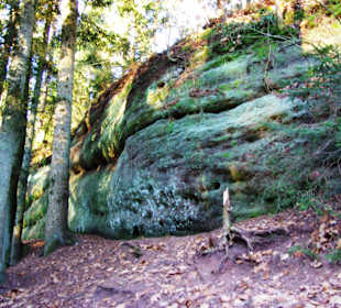Sandsteinfelsen entlang der Klamm