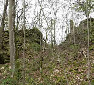 Eiszeitpfad - Burgfelsenpfad