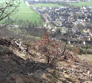 Aussichtspunkt Ammersteige